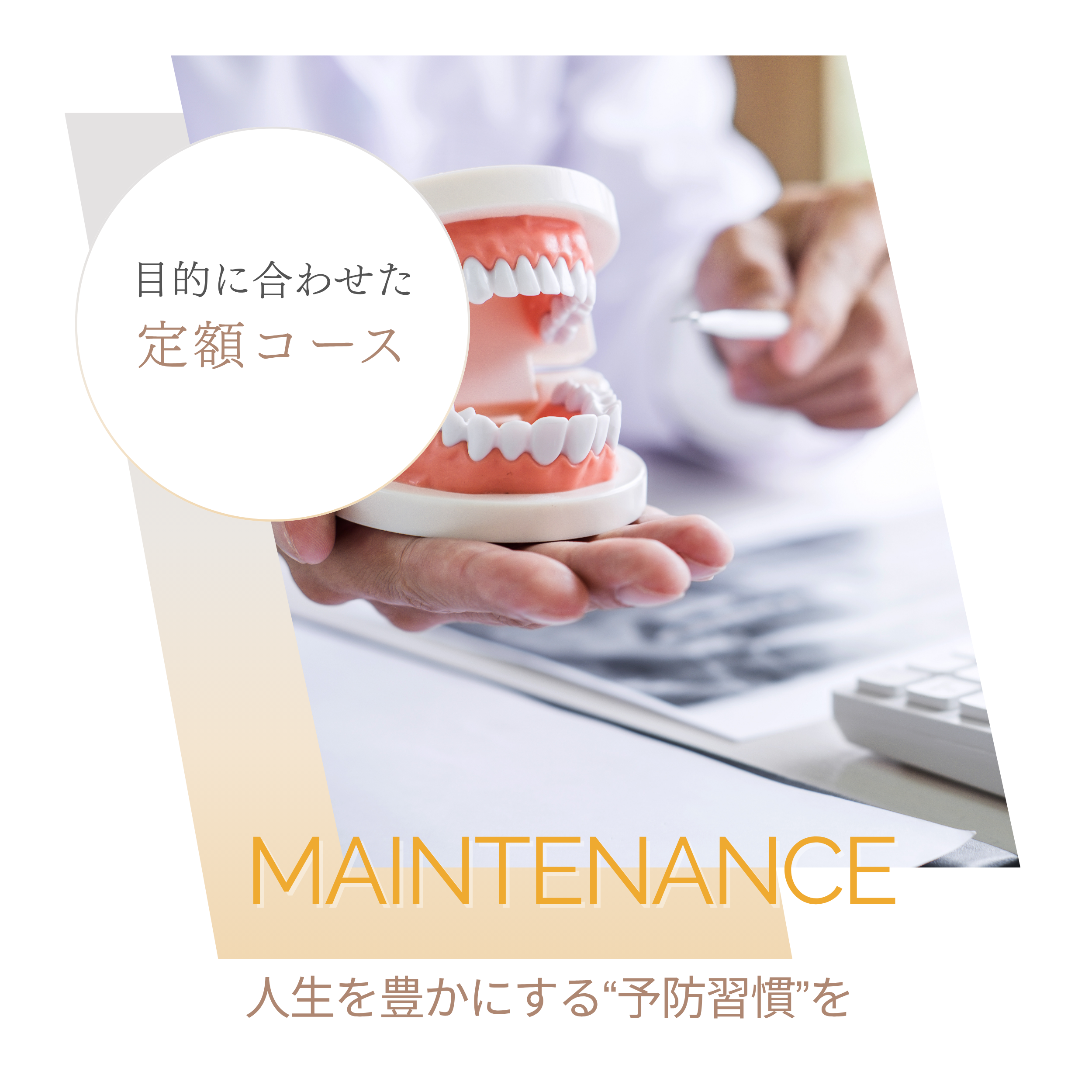 予防・メインテナンス